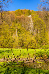 Saspowska Valley nature park and reserve along Saspowka creek in spring season within Jura Krakowsko-Czestochowska Jurassic upland near Cracow in Lesser Poland