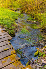 Naklejka premium Saspowka creek in Saspowska Valley nature park and reserve in spring season within Jura Krakowsko-Czestochowska Jurassic upland near Cracow in Lesser Poland