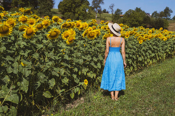 Woman standing near sunflowers in field at sunny day