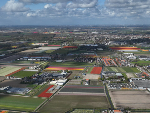 Aerial View of Colorful Flower Fields, Geometric Fields of Tulips and Flowers, Drone View of Multicolored Crops, Lines of Color &ndash; Tulip Field Aerial, Color Block Patterns in Flower Agriculture