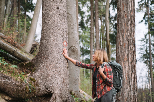 Blond hiker touching tree trunk in forest - Powered by Adobe