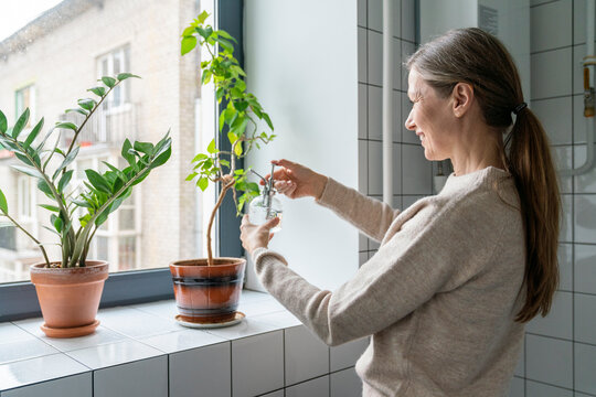 Happy Mature Woman Spraying Water On Plants In Bathroom