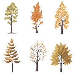 Fototapeta premium Minimal style tree painting hand drawn. Autumn tree watercolor vector illustration. Set of graphics trees elements drawing for architecture and landscape design. White background