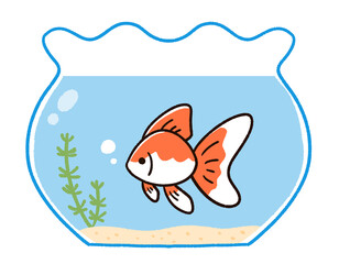 金魚鉢の金魚　リュウキン