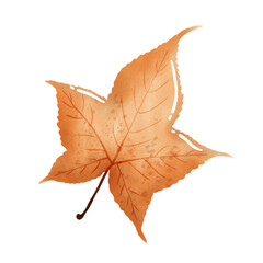 Autumn leaves in watercolor style. PNG