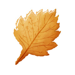 Autumn leaves in watercolor style. PNG