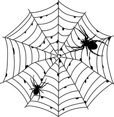 Obraz premium Scary black spider web isolated on white. Spooky halloween decoration.
