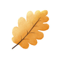 Autumn leaves in watercolor style. PNG
