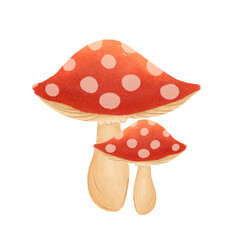 Autumn leaves in watercolor style. PNG