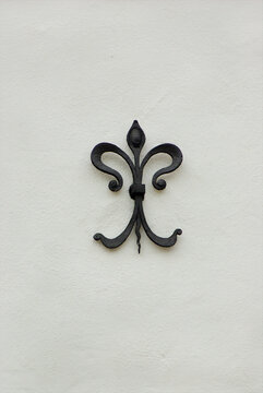 Maueranker, Zieranker, Lilie