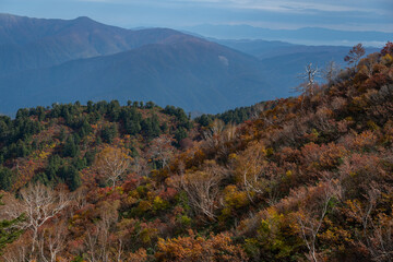 紅葉する山