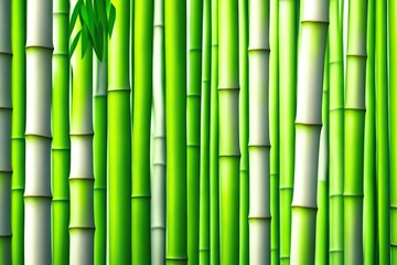 Fototapeta premium Bamboo forest background