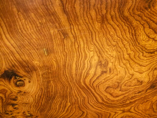 Burl wood background with grain