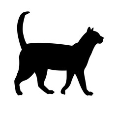 Isolated black silhouette cat on white background