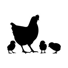 Isolated black silhouette hen and chick on white background © Mrle.Dsign