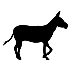 Isolated black silhouette donkey on white background