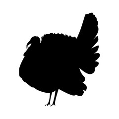 Isolated black silhouette turkey on white background