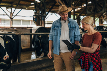 Fototapeta na wymiar Farmers using a digital tablet in a stable.