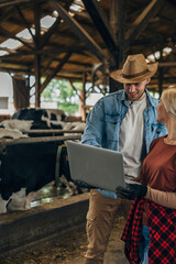 Cowboy and a woman standing in a stable with a laptop.
