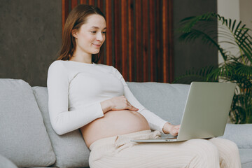 Naklejka premium Young pregnant IT woman in casual clothes hold use work on laptop pc computer sits on grey sofa couch stay at home hotel flat rest relax spend free spare time in living room Maternity family concept