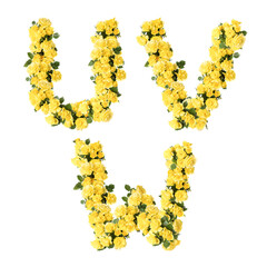 3D illustration of Yellow rose flowers alphabet  - letters U-W