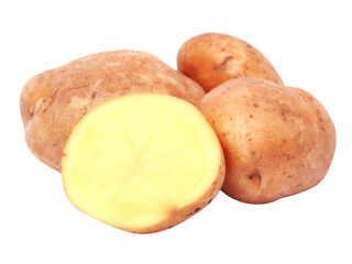 Potato isolated 
