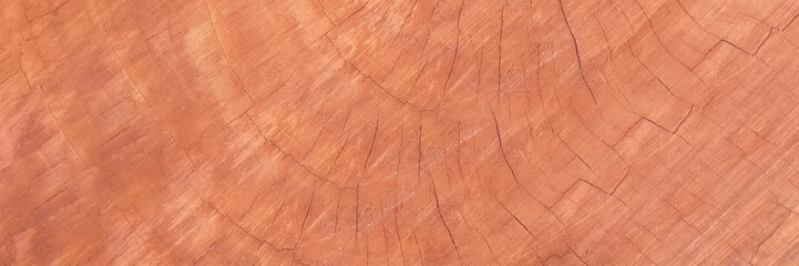 A fragment of a wooden panel hardwood. brown wooden texture wall pattern background texture.