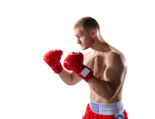 Boxer fighting keeping guard up. Isolated on transparent white background