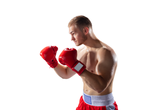 Boxer fighting keeping guard up. Isolated on transparent white background
