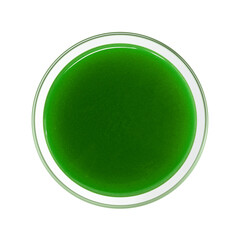 グラスに入った青汁のイラスト リアル