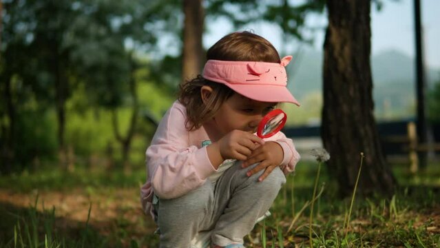 Little girl bends down, looks intently at dandelion seeds with magnifying glass.