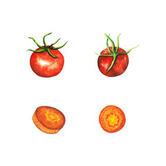 Watercolor hand drawn red cherry tomato, and orange cut carrot set, vegetable isolated on white background. healthy plants for print, fabric, banner.