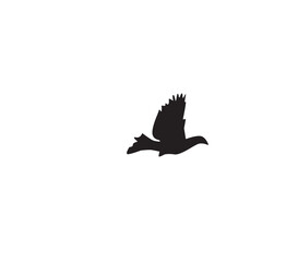 eagle silhouette vector