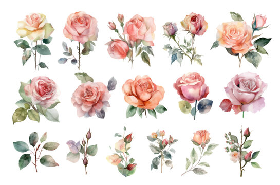 watercolor pink rose clipart for graphic resources.