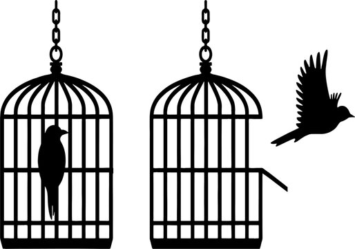 Bird flying from open birdcage and in cage. Symbol of freedom. Message to let birds free in natural atmosphere. High resolution image for birds breeding and feed theme poster and banner. 
