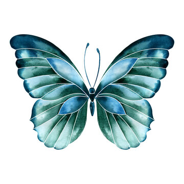 recommend clip art: Butterfly logo, butterfly watercolor illustration. Nature background.