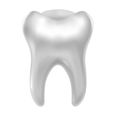 Realistic tooth on a white background. Tooth isolated in realistic style
