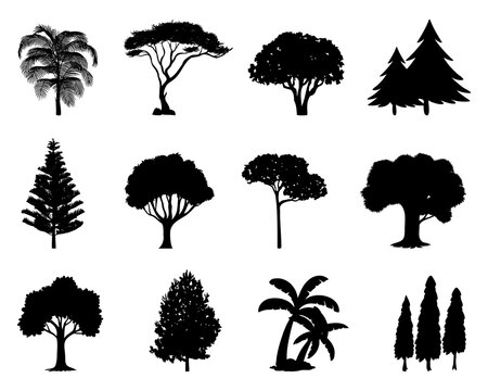 Set of different black tree silhouette. Environment tree silhouette collection