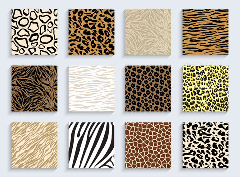 Set of animal skin texture background decoration