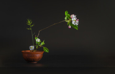 Simple composition with flowers. Minimalism.