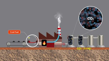 Capture of carbon during industrial processes