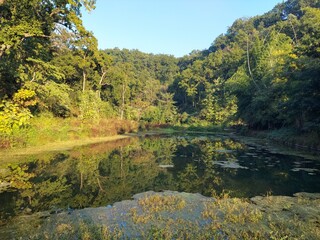 Pondha Lake Landscape