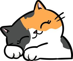 Cute Cartoon Cat Character