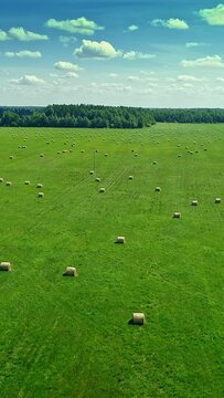 Beautiful lowland, green meadow, bales, blue sky with fluffy clouds, downward drone motion view, vertical short video