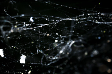 Messy spider web close up on black background. High contrast macro. Black and white texture. Real...