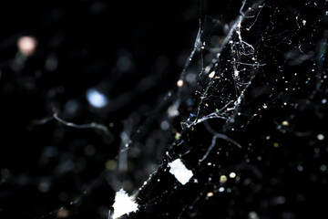 Messy spider web close up on black background. High contrast macro. Black and white texture. Real...