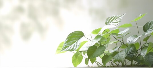 Leaves branch pant. Generative AI technology.	
