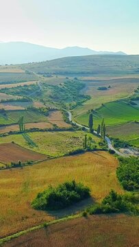 Countryside, curvy road across rolling fields, vertical short video, reels