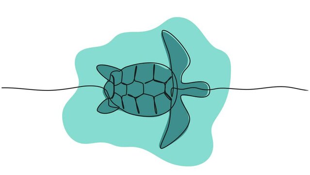 animated colored continuous single line drawing of turtle in water, line art animation