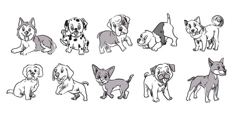 Set collection of breeds dog, puppy icon character hand drawing vector illustration. Isolated on white background.